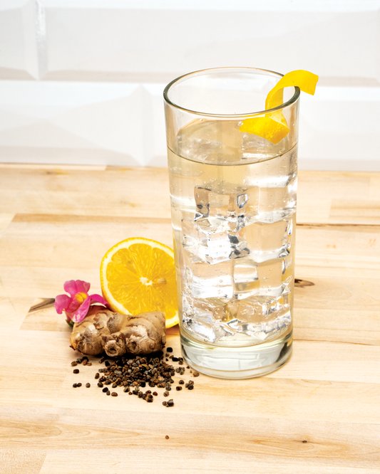Gin tonic de jengibre y cardamomo